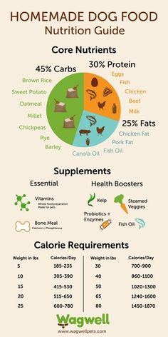 the ultimate guide to healthy cat food info