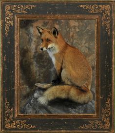 a red fox sitting on top of a rock in front of a framed picture frame