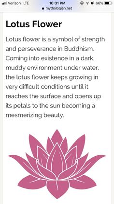 the lotus flower app on an iphone