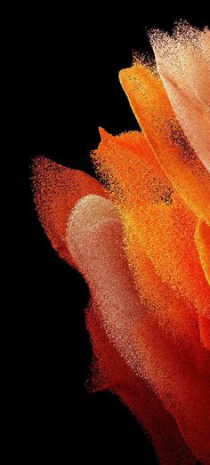 an orange and yellow flower is shown in this close up photo, with the petals sprinkled