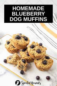 homemade blueberry dog muffins on a plate