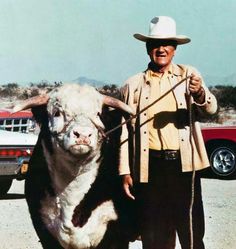 a man standing next to a cow with a rope around it's neck and wearing a cowboy hat