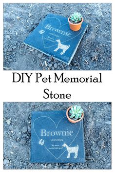 a dog memorial stone with a potted plant on it and the words diy pet memorial stone