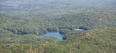 an aerial view of a lake surrounded by trees