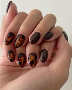 Natural Nails Fall Design, Short Nail Inspo Fall 2024, Fallnails 2024, Fall Short Nails Ideas, Nails Fall 2024, 2024 Fall Nails, Short Fall Nails 2024, Carey Nails, Tortishell Nails Design