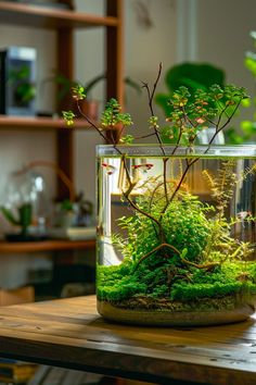 a glass vase filled with plants on top of a wooden table