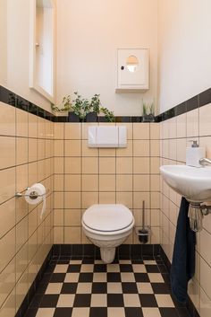 a white toilet sitting next to a sink in a bathroom under a window with potted plants on the wall