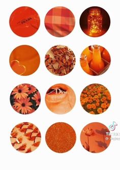 many different images of oranges and flowers in the same circle on a white background