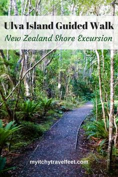 a dirt path surrounded by trees and green mossy rocks on both sides of the trail