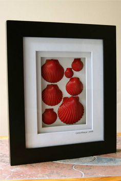 four red seashells in a black frame on a table