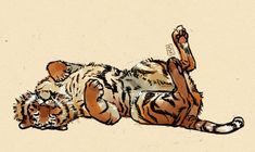 a drawing of a tiger laying on its back with it's paw in the air