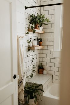 a white tiled bathroom with plants on the shelves