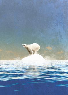 a polar bear standing on top of an iceberg in the middle of the ocean