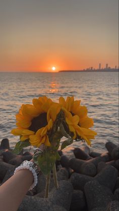 a person holding a sunflower in their hand near the ocean at sunset or sunrise