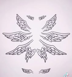 a drawing of two wings on a white background