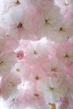 pink and white flowers are hanging from the ceiling