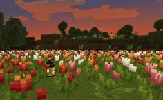 Minecraft // sunset // garden// tulips // Minecraft builds // texture pack // aesthetic // Minecraft Tulip Field, Flower Field Minecraft, Minecraft Flower Field, Minecraft Flower Garden, Minecraft Background, Garden Minecraft, Car Graffiti