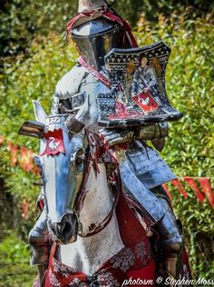 a man dressed in armor riding on the back of a horse