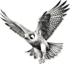 a black and white drawing of an owl flying