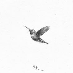 a drawing of a hummingbird flying in the sky