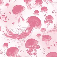 many pink jellyfish are floating in the water