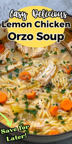 a bowl of lemon chicken orzo soup with carrots and parsley in it