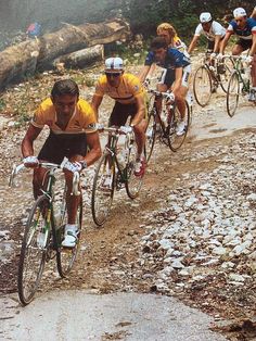 a group of people riding bikes down a dirt road next to rocks and trees in the background