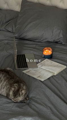 a cat laying on top of a bed next to a laptop computer and a candle