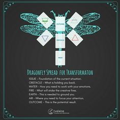 the dragonfly spread for transformation is shown in blue and white on a black background