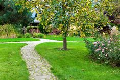 a stone path in the middle of a green yard with flowers and trees on either side