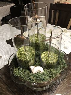 three glass vases filled with moss on top of a table