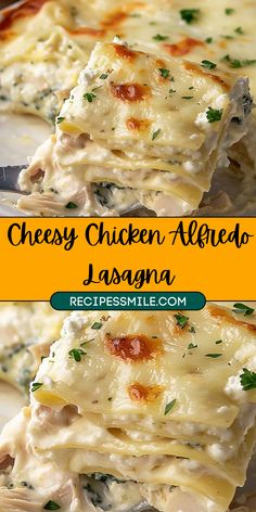 cheesy chicken alfredo lasagna on a plate