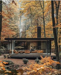 a house in the woods surrounded by trees with yellow and orange leaves on it's ground