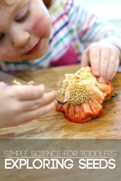 a young child is peeling an orange flower on a cutting board with the words, simple science for toddlers exploring seeds