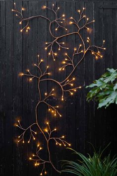 a tree branch with lights on it next to a plant in front of a wooden fence