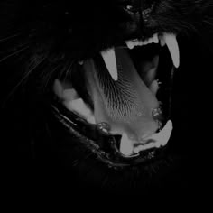 a black cat with its mouth open and it's teeth wide open in the dark