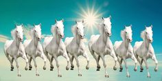 a group of white horses running in the sky