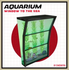 an aquarium window to the sea with fish and plants in it, on top of a red circle