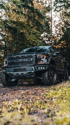 a black truck is parked in the woods