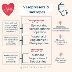 the different types of vassors and intotropes in this diagram are shown