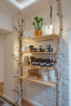 the shelves are filled with various types of products and plants in pots on top of them