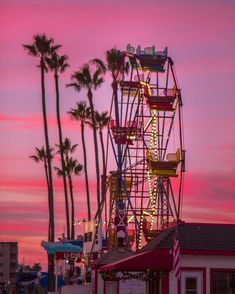 the ferris wheel is lit up at dusk in front of palm trees and colorful sky