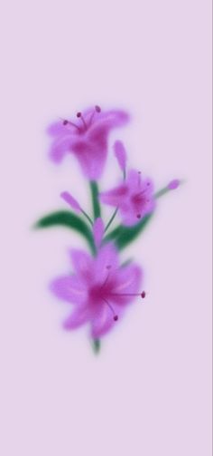 three purple flowers with green stems on a pink background