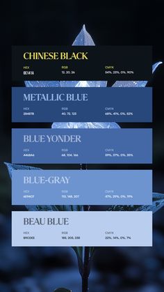 Colors:
0C141A
28487B
4468A6
6E94CF
B9CDEE Study Color Palette, Dark Colour Palette, Seeds Color Palette, Color Names Chart, Flat Color Palette, Seeds Color, Hex Color, Dark Color Palette, Color Design Inspiration