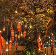 lanterns hanging from the branches of a tree in an outdoor area with lights on them