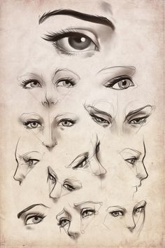 an old paper with various types of eyes