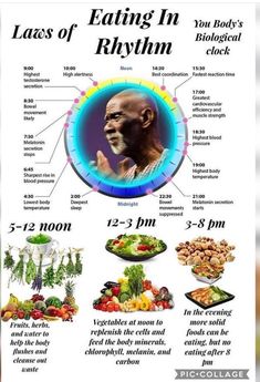 Sadkhin Diet, Eating In Rhythm, Alkaline Foods List, Nutritional Guide, Dr Sebi Alkaline