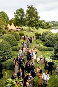 a large group of people standing on top of a lush green field next to bushes