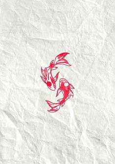 two red koi fish on white paper