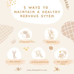 Chiropractic Instagram Posts, Wellness Graphics, Chiropractor Assistant, Regulate Nervous System, Nervous System Healing, Hormone Reset, Regulate Your Nervous System, Brain Nervous System